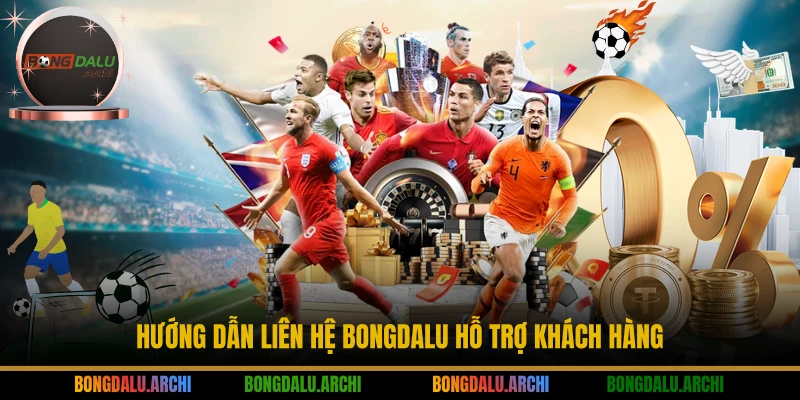 Hướng dẫn liên hệ BONGDALU hỗ trợ khách hàng