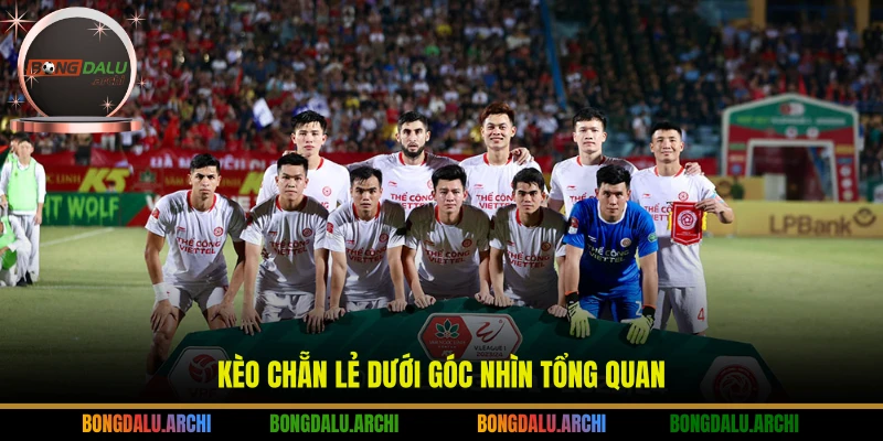 Kèo chẵn lẻ dưới góc nhìn tổng quan